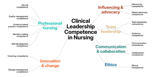 ERA+ Clinical Leadership in Nursing Education Competency Framework
