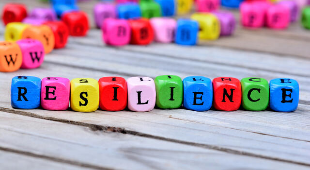 Resilience