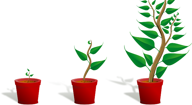 Mentorschap vormingstraject