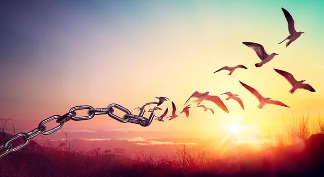 Freedom - Chains That Transform Into Birds 