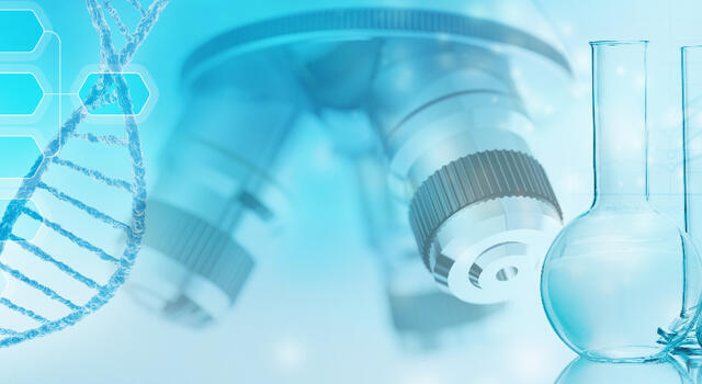 Molecular Biology and Cytometry Course