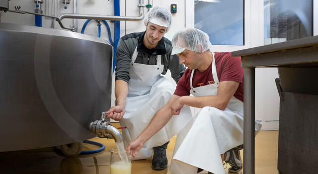 Whey'Coholic: De valorisatie van hoeve-wei tot bier en spirit