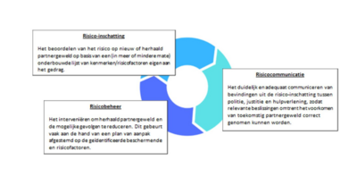 risicocyclus