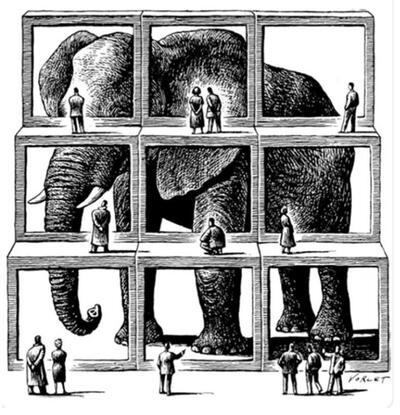 De olifant die niemand zag