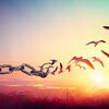 freedom chains 