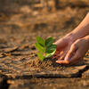 greentech