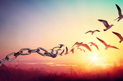 freedom chains 