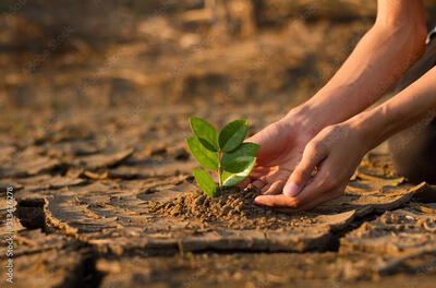 greentech